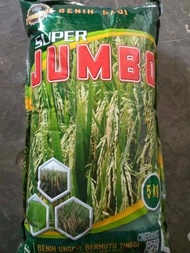 Benih Padi Jumbo Varietas Ciherang