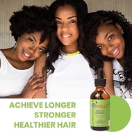 mielle rosemary oil for hair 59ml | mielle rosemary oil for hair growth | | mielle rosemary oil for 