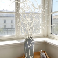 bangla|  Minimalist Branch Artificial Branch Decor Artificial White Curly Willow Branches – Faux Dec