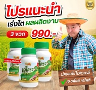 พร้อมส่ง A Grow เอ โกรว Super Grow 88 ปุ๋ยชีวภาพไคโตซาน ลุงเอ อนันต์ (ขวด 250 cc)