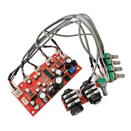 DBM.HOME-DC 12V 24V PT2399 Digital Microphone Audio Amplifier Board Karaoke Plate Reverb Preamplifie