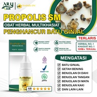 Kidney Stone Crusher - Gallstone Crusher - Kidney Failure Herbal Propolis SM Brazil Natural