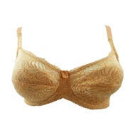 Modernform International Women Lace Wired BRA CUP C (P0210)