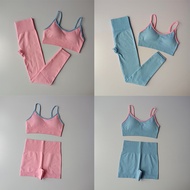 2 Pcs Yoga Gym Sportswear Suit (Bra+Shorts)