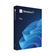 Microsoft Windows Pro FPP 11 64-bit Eng Intl USB
