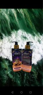 魯士潘達 ✨全新水🐉招財升運洗髮露