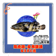【南島石斑產地直銷】龍虎斑-全魚條凍