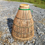 Serkap Ikan Sawah Saiz L