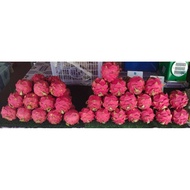 Buah Naga Tempatan Merah