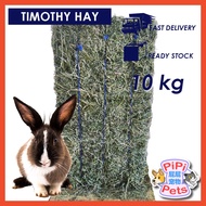 Premium USA Timothy / Alfalfa Hay (10 kg) for Rabbits / Guinea Pigs / Chinchillas / Small Animals