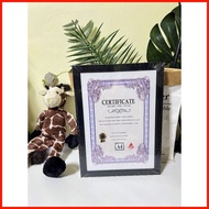 8x10 & 8.5x11 & A4 & 8.5x13 pvc CERTIFICATE FRAME SIZE 8.5x11 inches Photo frame