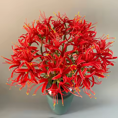2 Pcs 26.38'' Artificial Spider Lily Flowers Lycoris Radiata for Home Garden Decoration