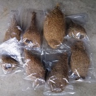 Sarang burung tempua, sarang burung gantung, sarang burunc cak raya, sarang burung rumah / 4