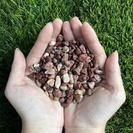 90s Greenovation Planting Material 1 Packet (Guni) Pebble Stone 鹅卵石 石头(10KG/18KG/20KG/25KG)