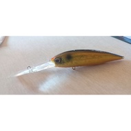 evergreen gold digger