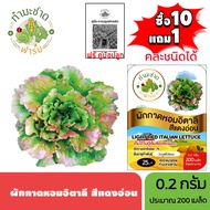 ทำมะชาดฟาร์ม (ซื้อ10แถม1) เมล็ดพันธุ์ ผักกาดหอมอิตาลี สีแดงอ่อน ขนาด0.2กรัม ประมาณ200เมล็ด LIGHT RED