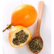 ECUADOR PASSION FRUIT SEEDS (20 pcs) / 20 BIJI BENIH MARKISA ECUADOR