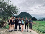 The Art - Golden Jungle House