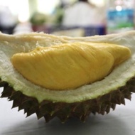 💥Baja Durian Musang King Duri Hitam D24 DLL 13 dalam 1 [ LENGKAP ]- READY STOCK