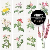 Plant Design Template Bundle Pack / Flower / Hand Drawn Illustration / PNG / EPS ~ FW003