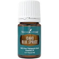 Idaho Blue Spruce Essential Oil 5ml
