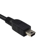 Mini USB (2Pin) Charger (5v∼0.5A)