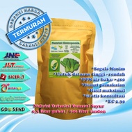 nutrisi ab mix hidroponik pekatan 500 ml x2 100 liter general sayur