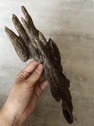 【稀少款】野生北乾達魯沉香擺件-Do風沉香(內可挑造型)