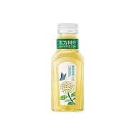 Oriental Leaves 500ml Bottled Sugar-Free Tea Drink 0 Calories 0 Sugar Jasmine