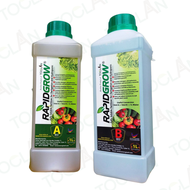 RapidGrow 2L Liquid AB Fertilizers -  Baja AB/Hidroponik/Fertigasi/Sayuran (1L A + 1L B)