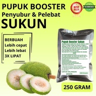 Pupuk Booster Sukun / Obat Booster Buah Sukun / Pupuk Booster Buah Sukun / Pupuk Buah Sukun
