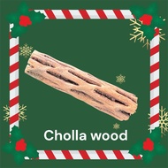 Cholla Wood by Nature Made Natural 1 For Aquarium Decoration (3”)