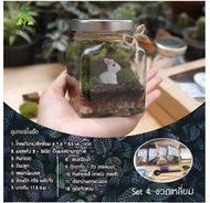 ชุดจัดสวนขวด วัสดุอุปกรณ์จัดสวนขวด ครบเซ็ตพร้อมส่ง  Terrarium Set  ชุดจัดสวนขวดแก้ว