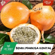 ( 10 Butir ) Benih Biji Markisa Madu Konyal Manis | Markisa Konyal Madu | Sweet Granadilla