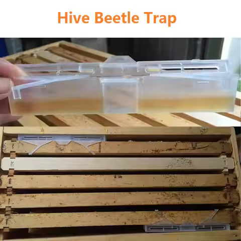 Hive Beetle Trap 10PCS Clear Plastic Reusable Hive Trap Bee Health Suitable For Hive Frame Capture B
