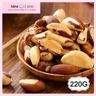 Raw Brazil Nuts