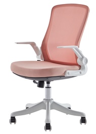 Deli Ergonomic Office Chair Furniture Home Living Mesh Back Office Chair Kerusi Gaming Black Pink Gr