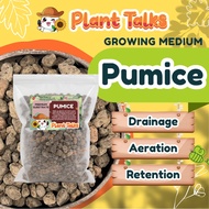 Plant Talks Pumice Stone for Soil Amendment Plants Mixing