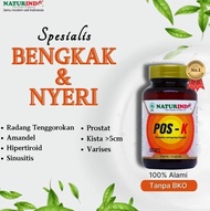 Obat Herbal Benjolan Leher Hernia Gondok Amandel Ampuh Pos - K Naturindo - POS K