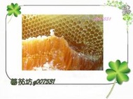 【蕃茄坊】龍眼蜜 自家採收天然蜂蜜 5斤=3公斤