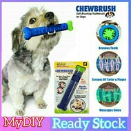 🔥CHEWBRUSH🔥 ToothBrush For Dog House Indoor/Outdoor Cat Tooth Brush Toy For Dog Berus Gigi Kucing Cat ToothBrush