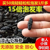 【特产速发】空运包邮 产地直发 sea cucumber Supplements深海底下播养海参刺参淡干小海参速发干货辽刺参非即食海参佛跳墙食材补品真野生温补