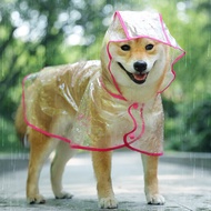 Transparent Transparent Dog Raincoat Large Medium-Sized Dog Samoyed Teddy Bikini Cat Clothes Pet Clo