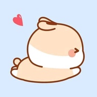 CODE I5A SPECIAL PAYMENT LINK LIVE 113K 1KG