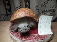 埔里鐵丸石 龜 原皮  陳純輝老師 福氣龜 平安龜 絕對值得收藏，