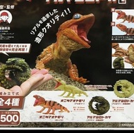 棘皮瘤尾守宮 爬蟲扭蛋 so-ta