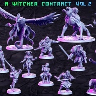 Witcher Contract : Character : Miniature Resin Game Board Model Made To Order DnD Tabletop Board Gam