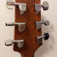結他Takamine  D series