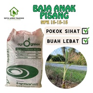 Baja Anak Pisang Kuda Merah | Baja Pertumbuhan Anak Pisang | NPK 15-15-15 | NPK Hijau