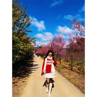 [PASS] Red long-sleeved sweater embroidered with the word M.I.U M.I.U